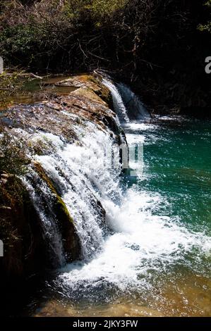 acqua naturale vapore cade hauy mae kamin in acqua naturale vapore cade hauy mae kamin foresta profonda cicingioli a marche regio italia Foto Stock