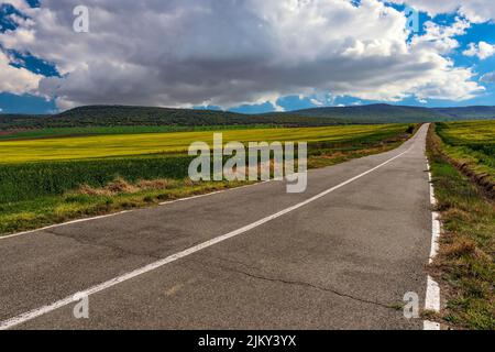 Panorami incredibili dalla contea di Dobrogea, Romania Foto Stock
