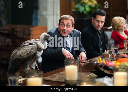 Avvoltoio, Steve Carell, CENA PER SCHMUCKS, 2010 Foto Stock