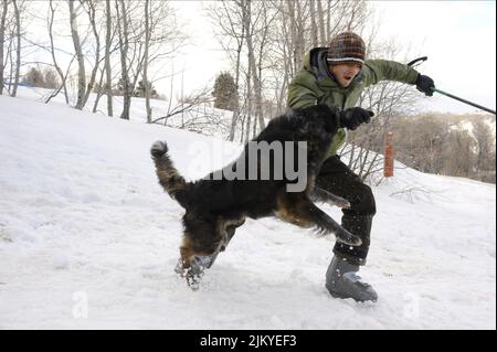 SHAWN ASHMORE, FROZEN, 2010 Foto Stock