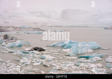 Splendidi iceberg turchesi e neri sul lago glaciale Fjallsarlon con montagne lontane in Islanda. Foto Stock