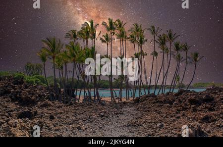 Uno scenario di palme su una spiaggia sotto un cielo stellato notte Foto Stock