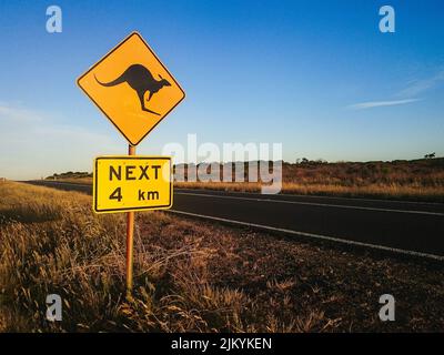 Segnale di avvertimento di canguri in Australia Foto Stock