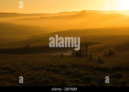 Paesaggio di campi durante l'ora d'oro con la brezza marina che scorre dentro Foto Stock