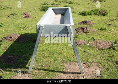 Alto trogolo di animali galvanizzati in pascolo primaverile con ortiche e colline molli Foto Stock