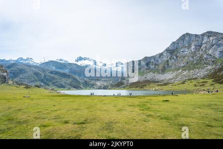 Lago di Ercina in primavera con fiori gialli nel Lagos de Covadonga. Asturie. Spagna Foto Stock