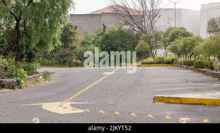 Un parcheggio vuoto con segni gialli e circondato da vegetazione Foto Stock