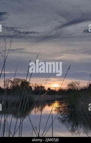 Uno scatto verticale di un tramonto ipnotico che sbirciava tra le nuvole su un lago circondato da erba Foto Stock