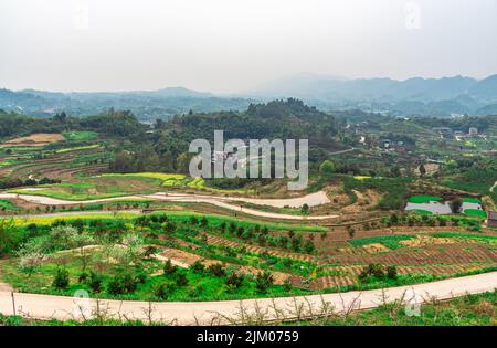 Una bella vista di un vasto paesaggio agricolo con montagne verdi sullo sfondo Foto Stock