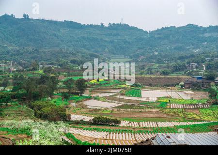 Una bella vista di un vasto paesaggio agricolo con montagne verdi sullo sfondo Foto Stock