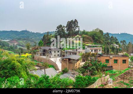 Una vecchia casa su una collina circondata da alberi verdi Foto Stock