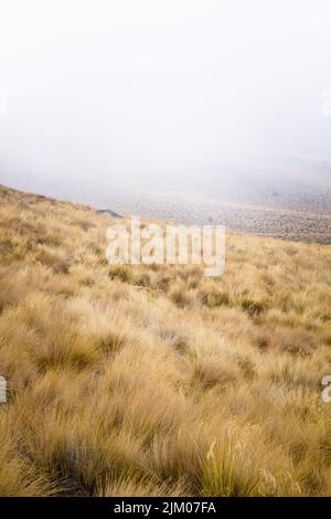 Una vista verticale del vulcano Nevado de Toluca coperto di erba gialla in una giornata di nebbia nel Messico centrale Foto Stock