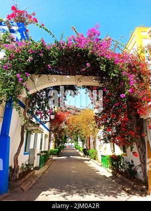 Gli splendidi archi decorati con fiori sulla strada stretta Foto Stock