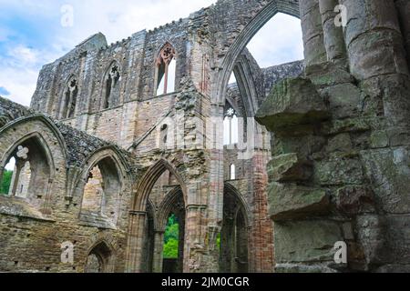 Vista della navata principale interna con vari archi in pietra, serramenti. A Tintern Abby vicino a Chepstow, Galles, Regno Unito. Foto Stock