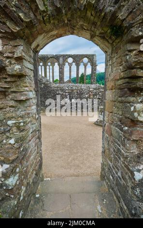 Una vista dei resti di uno degli edifici con una fila di colonne che sorreggono finestre rotonde. A Tintern Abby vicino a Chepstow, Galles, Regno Unito. Foto Stock