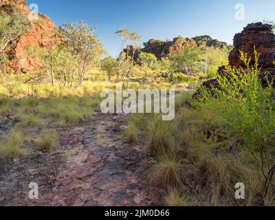 Percorso pedonale tra gli aspri affioramenti carsici in arenaria del Parco Nazionale Mirima, East Kimberley Foto Stock