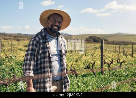 Avete mai visto piante più perfettamente coltivate, un uomo maturo che lavora in una fattoria. Foto Stock