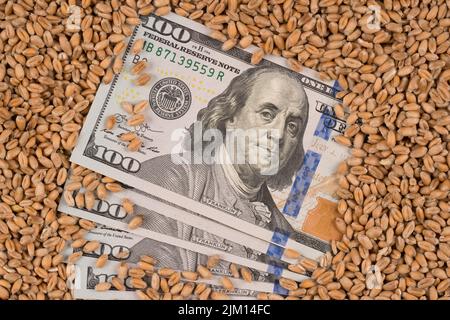 Cento banconote di dollari sopra grano. Concetto di crisi alimentare globale. Aumento dei prezzi di cibo e pane. Raccolto di grano ucraino Foto Stock