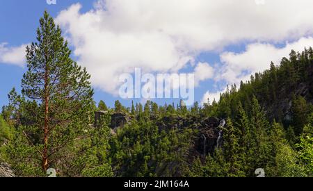 Paesaggio montano sereno con lussureggiante Foresta Verde e cielo Blu Foto Stock