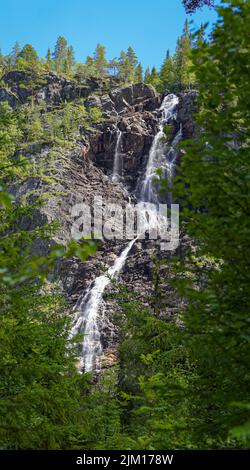 Splendida cascata nascosta nella parte più profonda della campagna norvegese coperta con verde alto abete caucasico Foto Stock