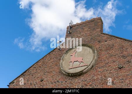 Il cervo di Pag roundel sul lato dell'edificio della linea di Pag, a Maritime Chambers, North Shields, Regno Unito - l'ufficio del registro di Tyneside del nord. Foto Stock