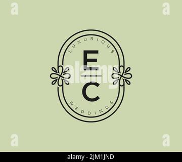 EC iniziali lettera matrimonio monogramma modello logo, a mano disegnata moderna minimalista e modelli floreali per carte di invito, Salva la data, elegante Illustrazione Vettoriale