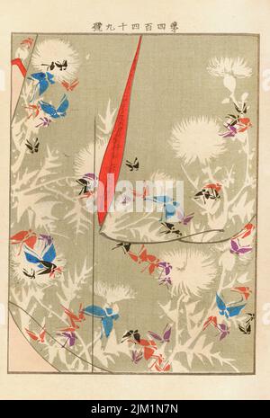 Dalla Serie Yachigusa. Museo: COLLEZIONE PRIVATA. Autore: Ueno Seiko. Foto Stock