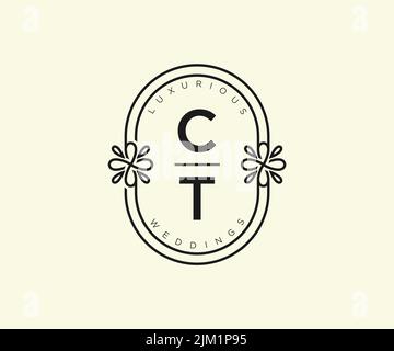 CT iniziali lettera Wedding monogramma modello logo, a mano disegnata moderna minimalista e modelli floreali per le carte di invito, Salva la data, elegante Illustrazione Vettoriale