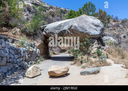 Tunnel rock a sequoia albero ingresso parco nazionale tre fiumi, USA Foto Stock