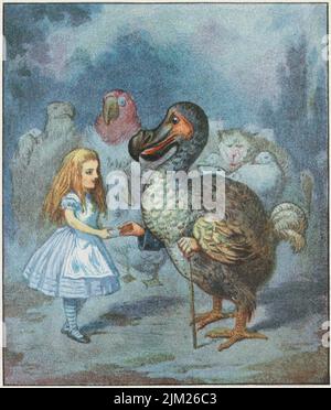 Il Dodo ha presentato solennemente il ditale... Museo: COLLEZIONE PRIVATA. Autore: JOHN TENNIEL. Foto Stock