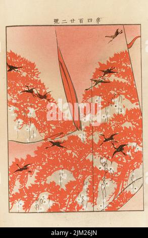 Dalla Serie Yachigusa. Museo: COLLEZIONE PRIVATA. Autore: Ueno Seiko. Foto Stock