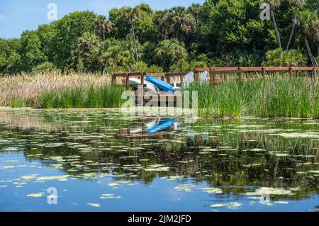 Molo privato delle paludi con kayak lungo il fiume Guana a Ponte Vedra Beach, Florida. (USA) Foto Stock