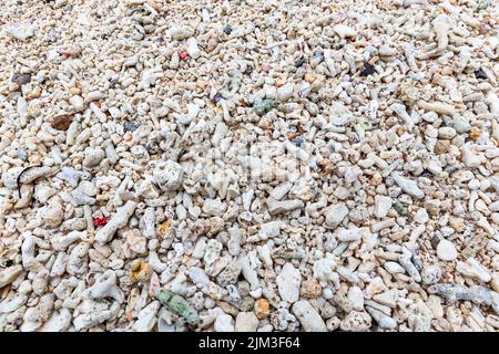 Pezzi di barriera corallina sbiancata morta si sono lavati su una spiaggia dopo l'evento di sbianca corallo sull'isola di Mahe, Seychelles. Foto Stock
