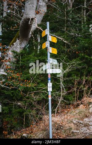 Uno scatto verticale di un cartello che mostra le indicazioni in una foresta in Germania Foto Stock