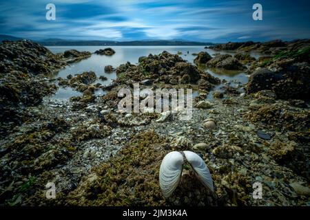 Uno splendido paesaggio della spiaggia rocciosa di Moses Point, North Saanich, Vancouver Island, BC Canada Foto Stock