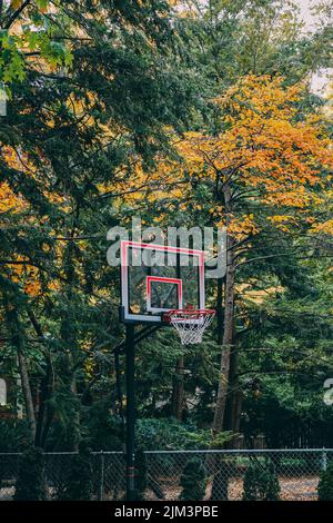 Un colpo verticale di un canestro da basket contro gli alberi in autunno Foto Stock