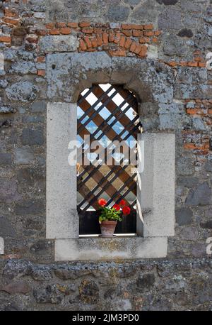 Il castello fu costruito da re Bela IV nel 13th ° secolo, dopo l'invasione dei Tartari, dalla dote di sua moglie Foto Stock