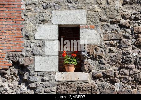 Il castello fu costruito da re Bela IV nel 13th ° secolo, dopo l'invasione dei Tartari, dalla dote di sua moglie Foto Stock