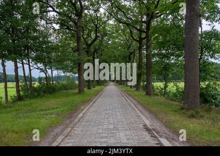 25th giugno 2022, Westmalle, Belgio, vista sulla strada e gli alberi intorno all'abbazia di Westmalle, famosa per la sua birra bionda, bruna e trippel trappist. Foto di alta qualità Foto Stock