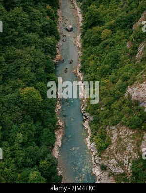 Un angolo alto verticale di un sottile fiume stretto che scorre attraverso una foresta circondata dal verde Foto Stock