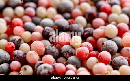 Bacche congelate di varietà ribes fondo. Primo piano Foto Stock