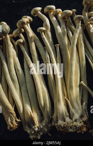 Un mazzo di enoki bianchi, funghi di pesce coltivati in Cina, un ingrediente popolare per le zuppe, specialmente nella cucina dell'Asia Orientale Foto Stock