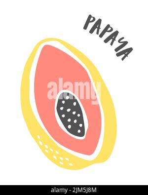 Disegno papaya dipinto a mano con pennello isolato su sfondo bianco. Illustrazione vettoriale Illustrazione Vettoriale