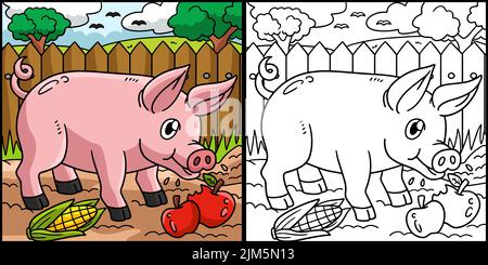 Pig coloring pagina Illustrazione colorata Illustrazione Vettoriale