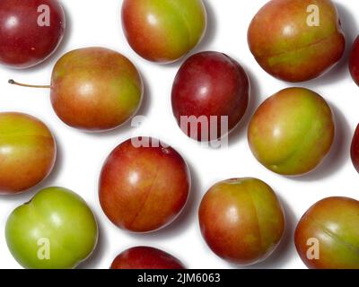 Prugna ciliegia in diverse fasi di maturazione. Varietà di prugne. Frutta rossa e verde. Tkemali. Isolare di diverse specie dello stesso frutto Foto Stock