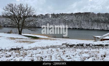 Una bella vista panoramica di un albero senza fronde sulla riva del lago con una foresta innevata nell'altra riva contro il cielo nuvoloso durante il giorno, Hessen, Germania Foto Stock