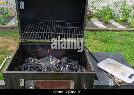 Home barbecue con carbone nel cortile grigliare bistecche e altre carni Foto Stock