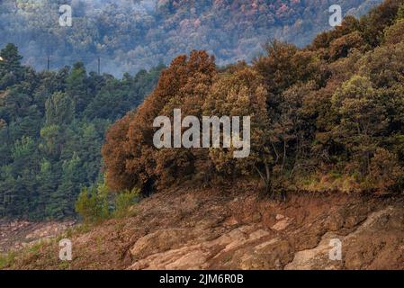 Alba al bacino di Baells durante la siccità estiva del 2022 (Berguedà, Barcellona, Catalogna, Spagna) ESP: Amanecer en el embalse de la Baells Foto Stock