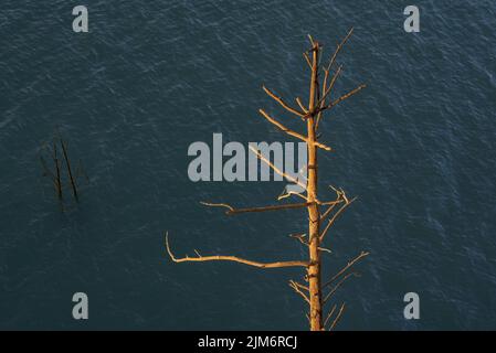 Alba al bacino di Baells durante la siccità estiva del 2022 (Berguedà, Barcellona, Catalogna, Spagna) ESP: Amanecer en el embalse de la Baells Foto Stock