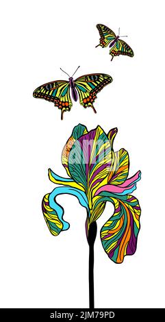 Fiore di iride multicolore con farfalle volanti. Illustrazione vettoriale Illustrazione Vettoriale